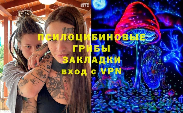 шишки Алексеевка