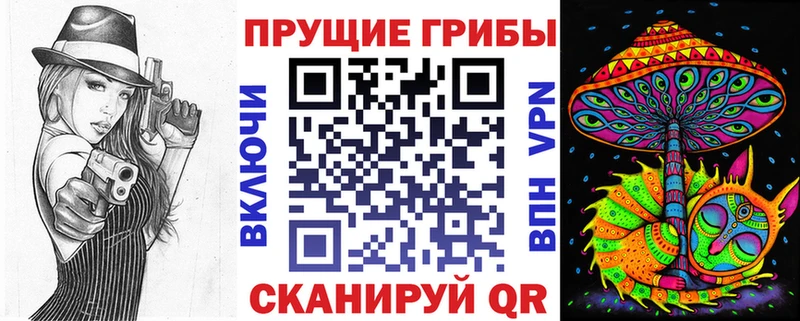 сколько стоит  Арамиль  Галлюциногенные грибы Psilocybine cubensis 